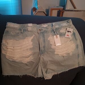 Good American Distressed Shorts NWTl, Size 16